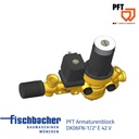 Fischbacher PFT Armaturenblock DK06FN 1/2&#8243; E 42V 00039286