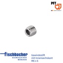 Fischbacher Gewindestift mit Innensechskant M6 x 6 20209992