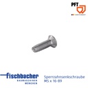 Sperrzahnsenkschraube M5 x 16-89 (VPE 20